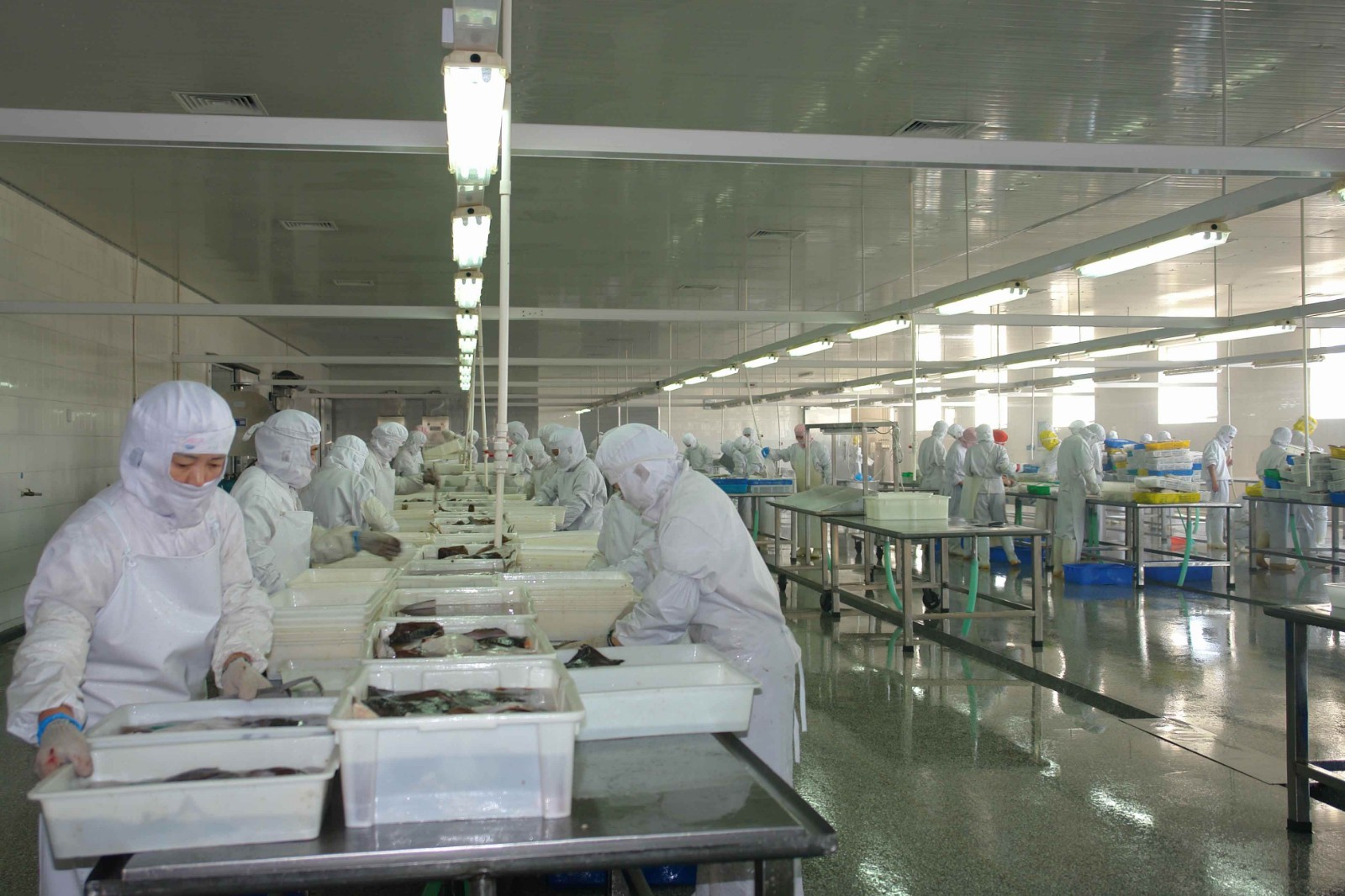 食品廠應(yīng)用方案 食品廠應(yīng)用方案